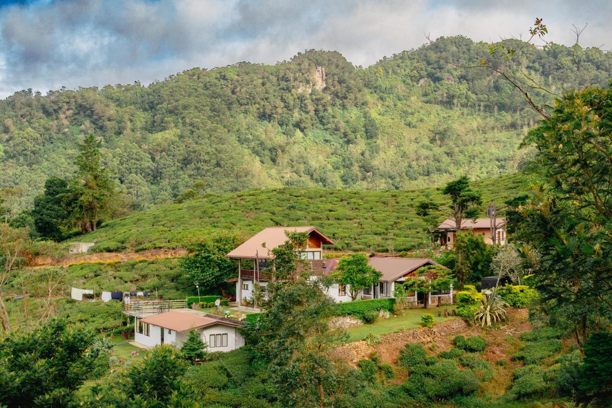 Hill Safari - Tea Estate Villa 오히야 외부 사진