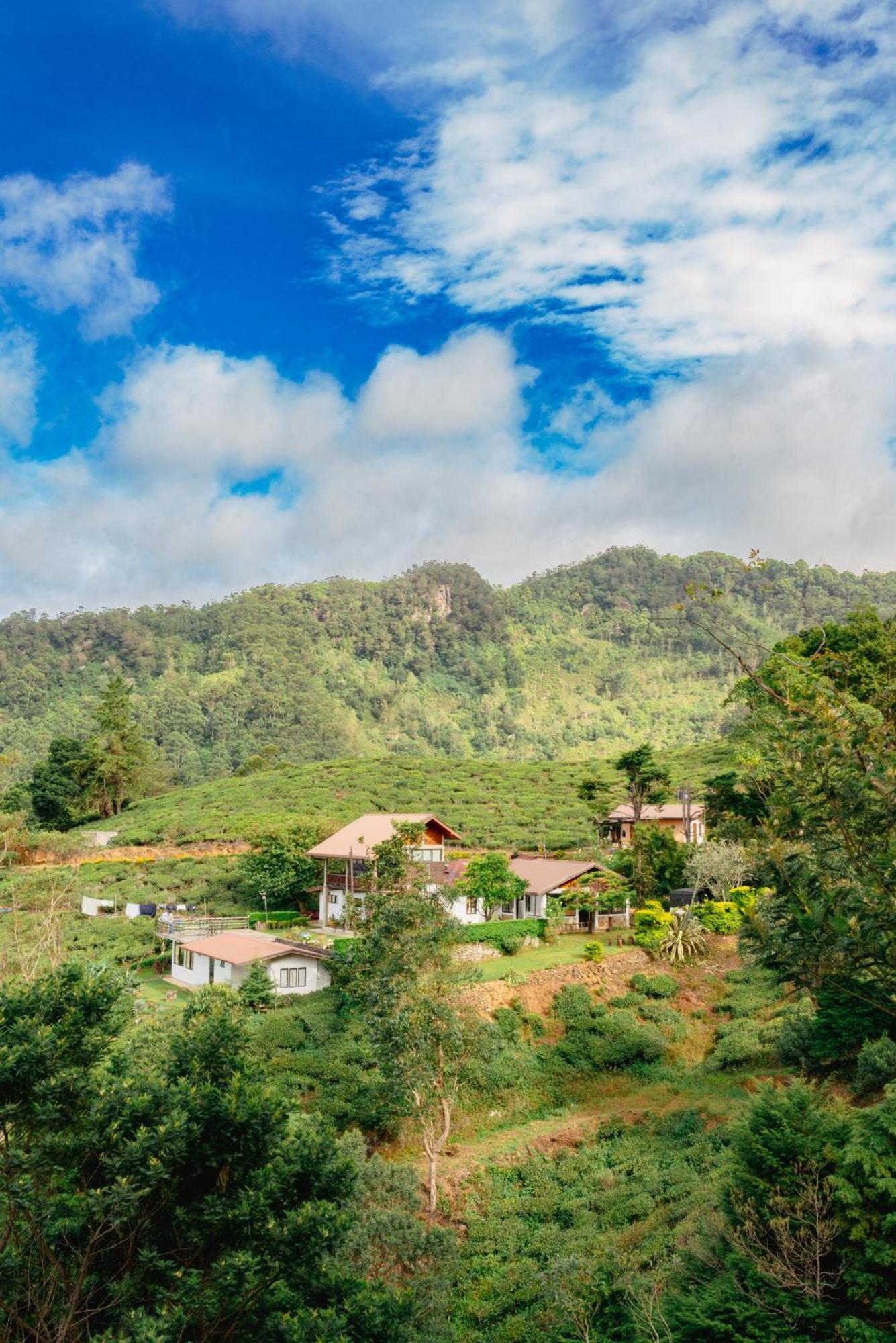 Hill Safari - Tea Estate Villa 오히야 외부 사진
