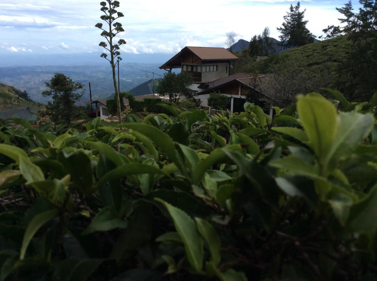 Hill Safari - Tea Estate Villa 오히야 외부 사진